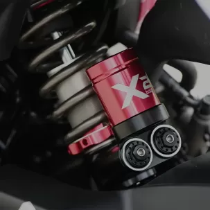 Shark Factory 鯊魚工廠