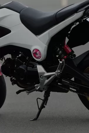 Shark Factory 鯊魚工廠