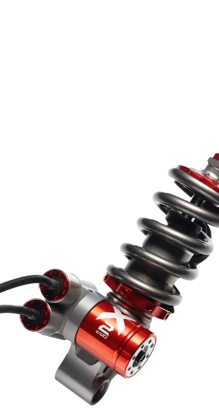 鯊魚工廠後避震器