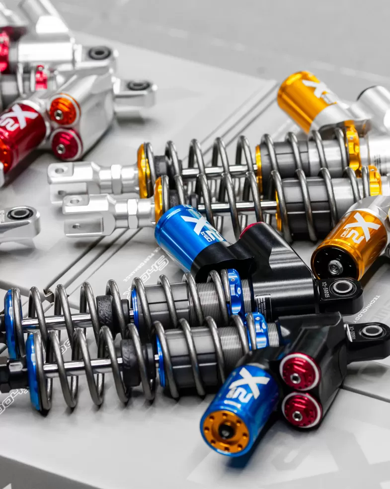 Shark Factory 鯊魚工廠