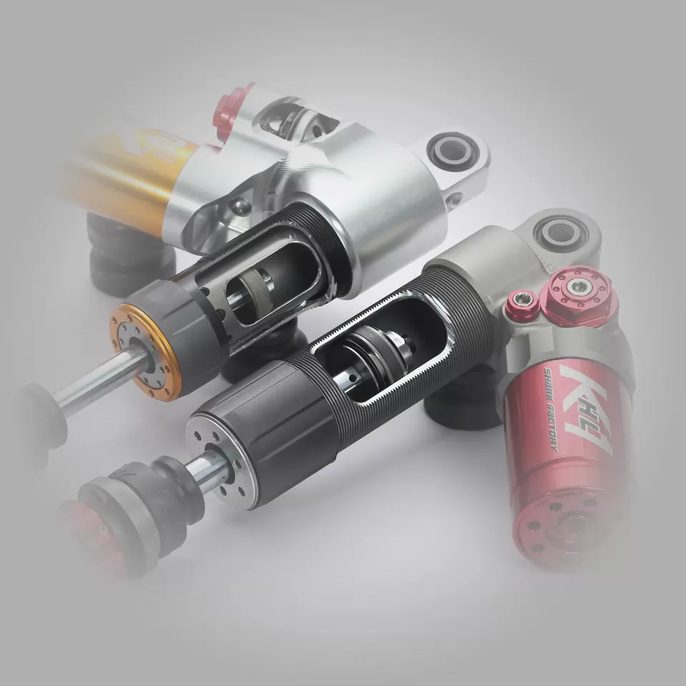 Shark Factory 鯊魚工廠