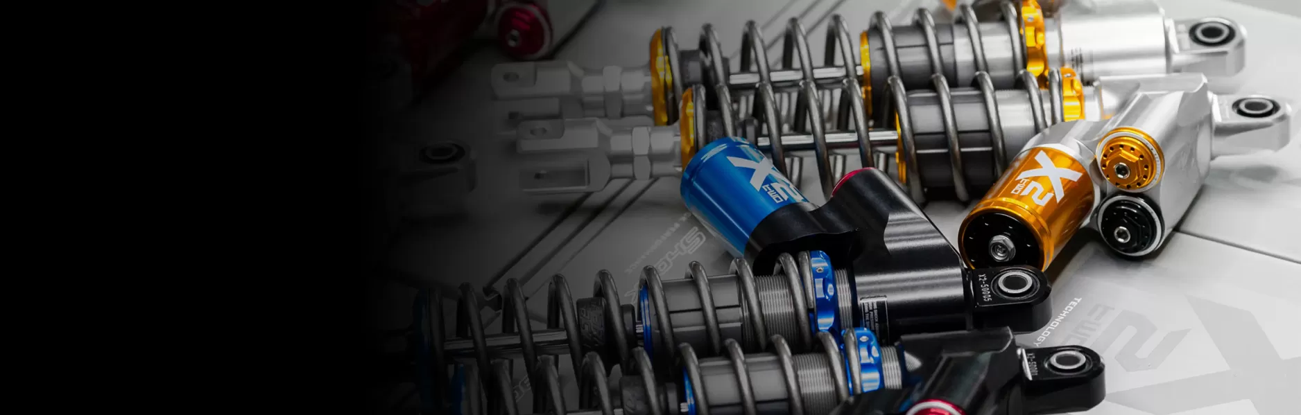 Shark Factory 鯊魚工廠 產品類別