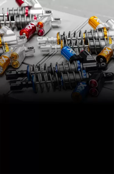 Shark Factory 鯊魚工廠 產品類別