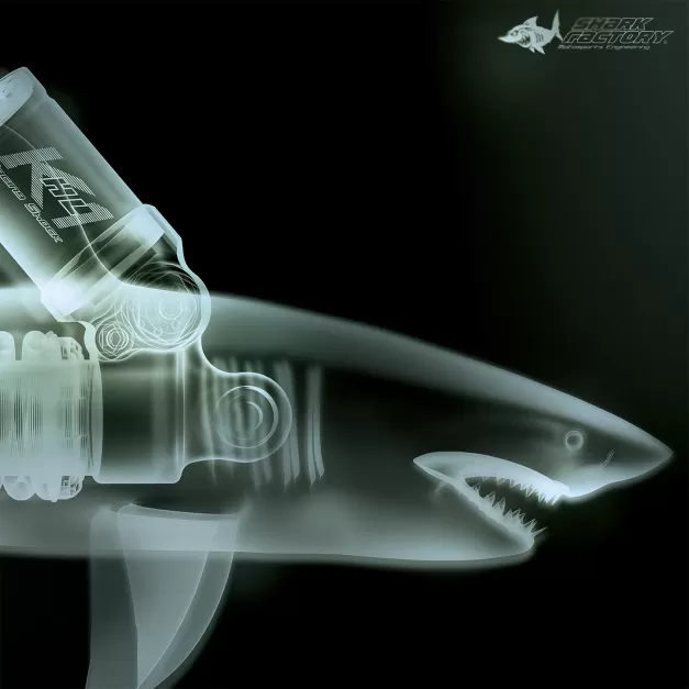 Shark Factory 鯊魚工廠